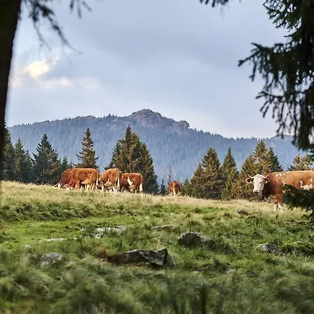 Pensión Rehwinkel