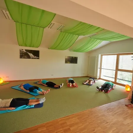 Pensjonat Komfort-&wellnesspension Rehwinkel Bodenmais