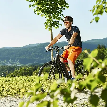 Komfort-&wellnesspension Rehwinkel Pensjonat Bodenmais